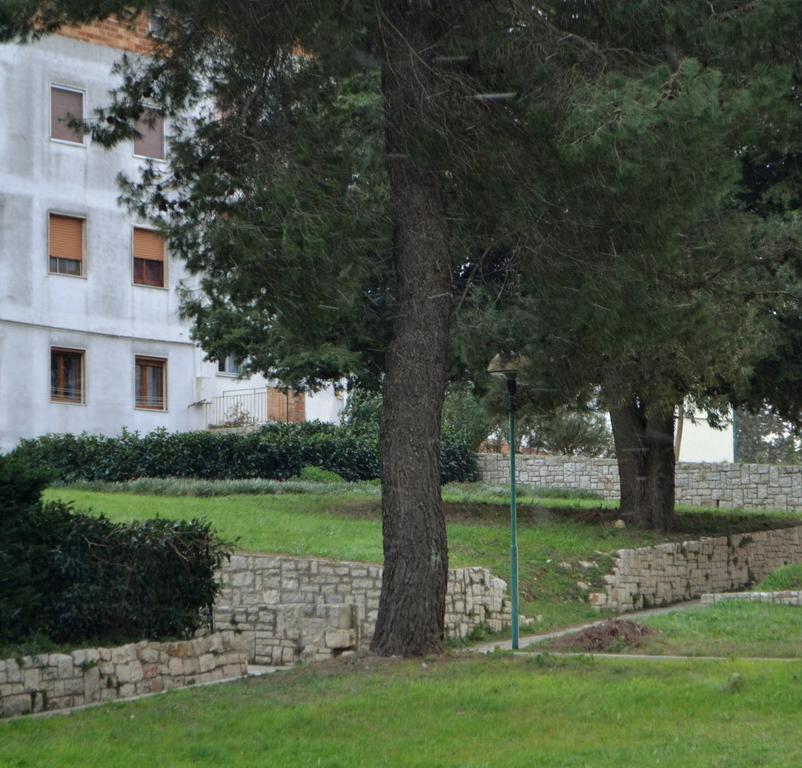 La Casa Di Olga Apartment Matera Bagian luar foto
